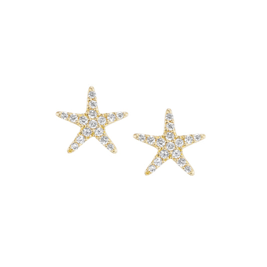 Starfish Studs