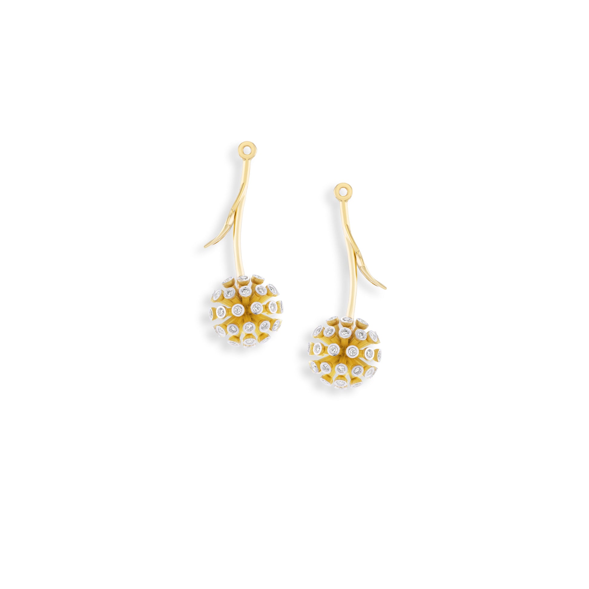Gold earrings with circular designs on a white background