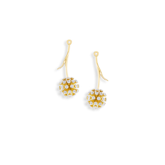 Gold earrings with circular designs on a white background
